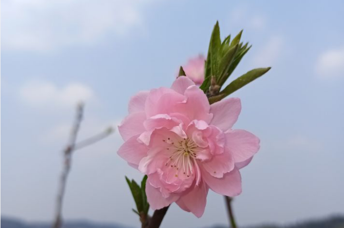东京一日游剧本-东京一日游自由行攻略